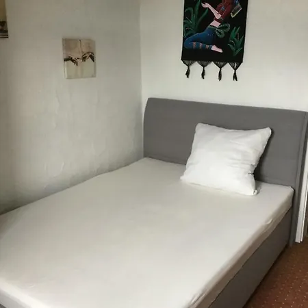 Goldener Engel Guest house 2*